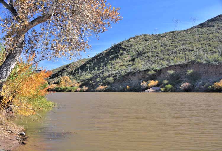 bartlett lake